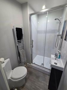 a bathroom with a shower and a toilet and a sink at 1B Smart Apartments in Newark-on-Trent
