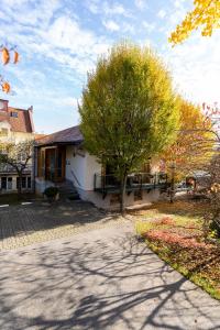 a house with a tree in front of it at Pension Christina in Weiz