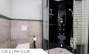 a bathroom with a glass shower with a toilet at Events and Stay in Neustadt +38 photos