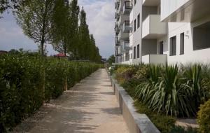 an empty sidewalk next to a building with plants at Cortina Nord Panoramic Studio in Voluntari