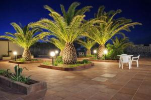 a row of palm trees in a courtyard at night at Hotiday Castelsardo Spiaggia in Castelsardo