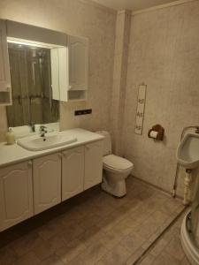a bathroom with a sink and a toilet at Idyllic house on a farm in Steinkjer