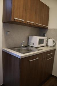 Kuchyň nebo kuchyňský kout v ubytování Hotel Pod Radnicí