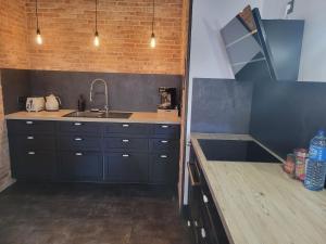 a kitchen with a sink and a counter top at Le Loft Des Arts in Thonon-les-Bains +5 photos