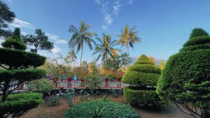 a garden with trees and bushes and palm trees at Pepper Valley Resort in Kalpetta