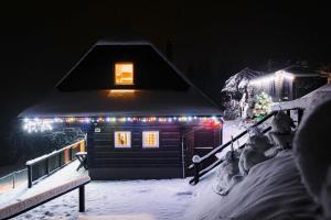 a cabin with christmas lights on it in the snow at PANORAMA RANČ in Ježíci +46 photos