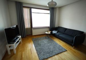a living room with a blue couch and a television at LibO-apartment, Rypys 74 X in Kuopio