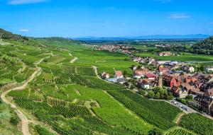 an aerial view of a small village in a vineyard at Bel Appartement Reposant in Rambervillers