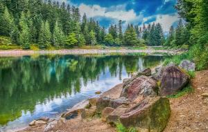 a lake with rocks in the middle of a forest at Bel Appartement Reposant in Rambervillers