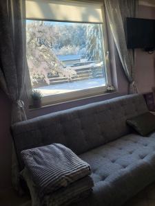 a window in a room with a couch in front of it at Apartman Cherry Gradac Valjevo in Valjevo