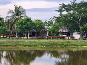 a house next to a body of water at Finca Hotel Auraviva in Ciénaga de Oro