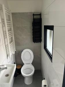 a small bathroom with a toilet and a sink at Tiny House Beachroom in Scheveningen