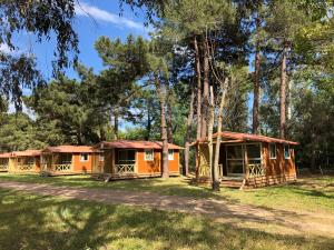 a group of cottages in the woods at Camping l'Oso in Porto-Vecchio