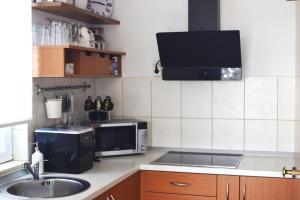 a kitchen with a sink and a microwave at A&M Cavtat, sunset 3 bedrooms apartment with parking in Cavtat +41 photos