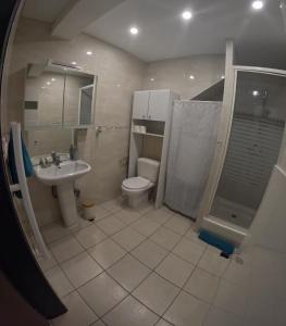 a bathroom with a toilet and a sink and a shower at le Thermal 108 in Saint-Martin-d'Uriage
