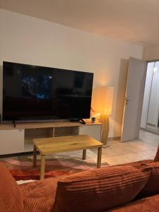 a living room with a large flat screen tv at Le Cocon Nîmois in Nîmes