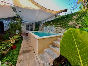 a swimming pool in a garden with some plants at Departamento Luna in Valladolid