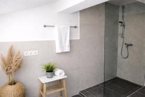 a bathroom with a shower with a glass door at Apartment Fischer in Tarrenz +6 photos