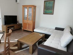 a living room with a couch and a tv at Апартамент Light blue in Troyan