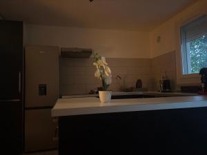 a kitchen with a vase of flowers on a counter at Le Cocon Nîmois in Nîmes
