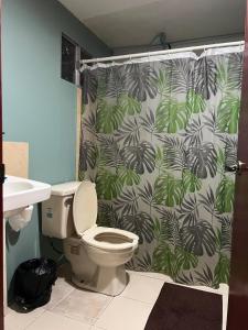 a bathroom with a toilet and a shower curtain at Estudio in Zamora de Hidalgo +9 photos