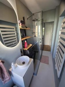 a bathroom with a sink and a toilet in it at FeWo Altstadt in Stralsund