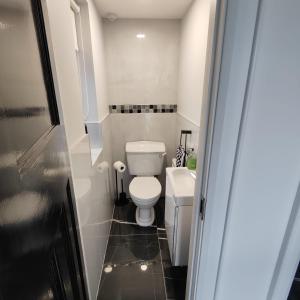 a small bathroom with a toilet and a sink at An Camus Ballyliffin in Ballyliffin +13 photos
