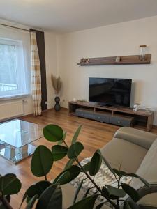 a living room with a couch and a television at Schöne, große Wohnung mit 3 Betten in Bramsche