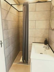 a bathroom with a shower and a sink at Le Calypso pour 4 pers CLIM CONFORT INTERNET PROCHE DE LA GARE in Marmande +11 photos