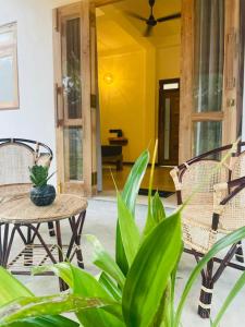 a patio with chairs and a table with a plant at Edwin's Ahangama in Ahangama