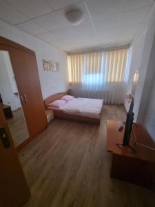 a bedroom with a bed and a television in it at Hotel Split in Usora