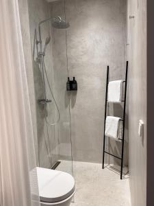 a bathroom with a shower with a toilet in it at Villa V - Petit Hôtel in Valkenburg