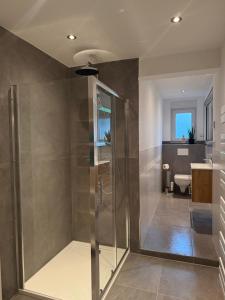 a bathroom with a shower stall and a toilet at Q80 Appartement in Schermbeck +46 photos