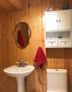 a bathroom with a sink and a toilet and a mirror at Le Domek de nature apaisante in Sainte Béatrix +51 photos