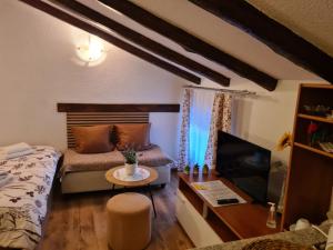 a living room with a bed and a tv at Apartmani Viola in Momjan