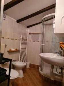 a bathroom with a toilet and a sink and a shower at Apartmani Viola in Momjan