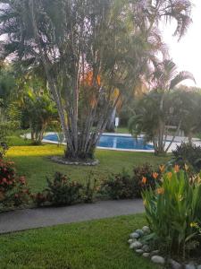 a resort yard with a pool and palm trees and flowers at Casa Ixtapa in Ixtapa