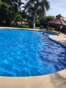 a person swimming in a large blue swimming pool at Casa Ixtapa in Ixtapa