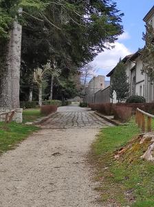 a cobblestone road with trees and a house at IL Vicoletto in Serra San Bruno