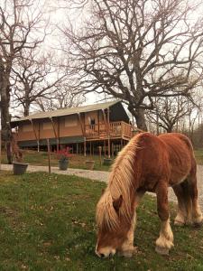 a horse grazing in the grass in front of a house at CAMPING ETXARRI in Echarri-Aranaz