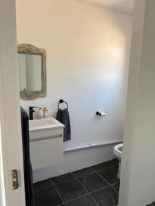 ein Badezimmer mit Waschbecken, Spiegel und Toilette in der Unterkunft Riverview Rest in Addo