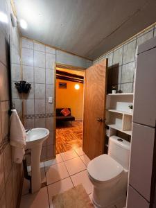 a small bathroom with a toilet and a sink at Kutral-Ko in Hornopiren +9 photos