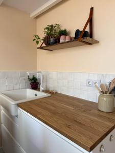 a kitchen with a sink and a wooden counter top at BLUSH Bed and Breakfast in Sprundel