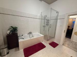 a bathroom with a shower and a tub and a sink at Ferienwohnung Margrit in Börßum