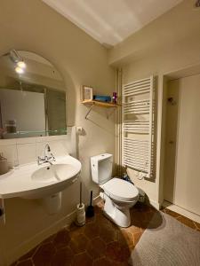 a bathroom with a white toilet and a sink at Studio parvis Cloitre Notre Dame in Chartres +5 photos