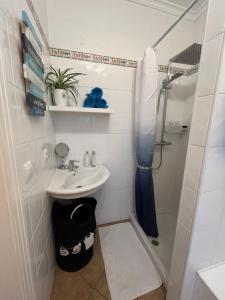 a small bathroom with a sink and a shower at La Vida Bonita in El Verger