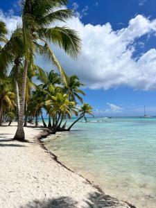 a beach with palm trees and the ocean at Apartamento Vacacional Coral Azul - SBH in Bayahibe +7 photos