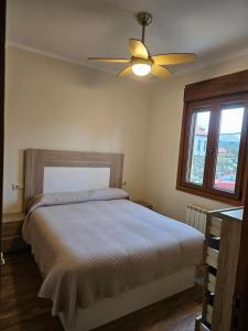 a bedroom with a bed and a ceiling fan at Casa da Cabreira in Nigrán