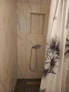 a bathroom with a shower with a shower curtain at Apartmani Antonio Basina in Vrbanj +11 photos