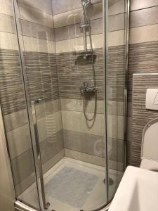 a shower with a glass door in a bathroom at Apartment Elize in Zagreb +7 photos